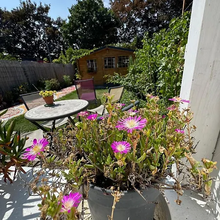 Daire Charming 2 Bedroom House Beautiful Garden And Patio Lille