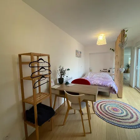 Charming 2 Bedroom House Beautiful Garden And Patio Appartement Lille